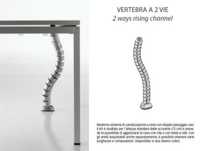 Vertebra salita cavi